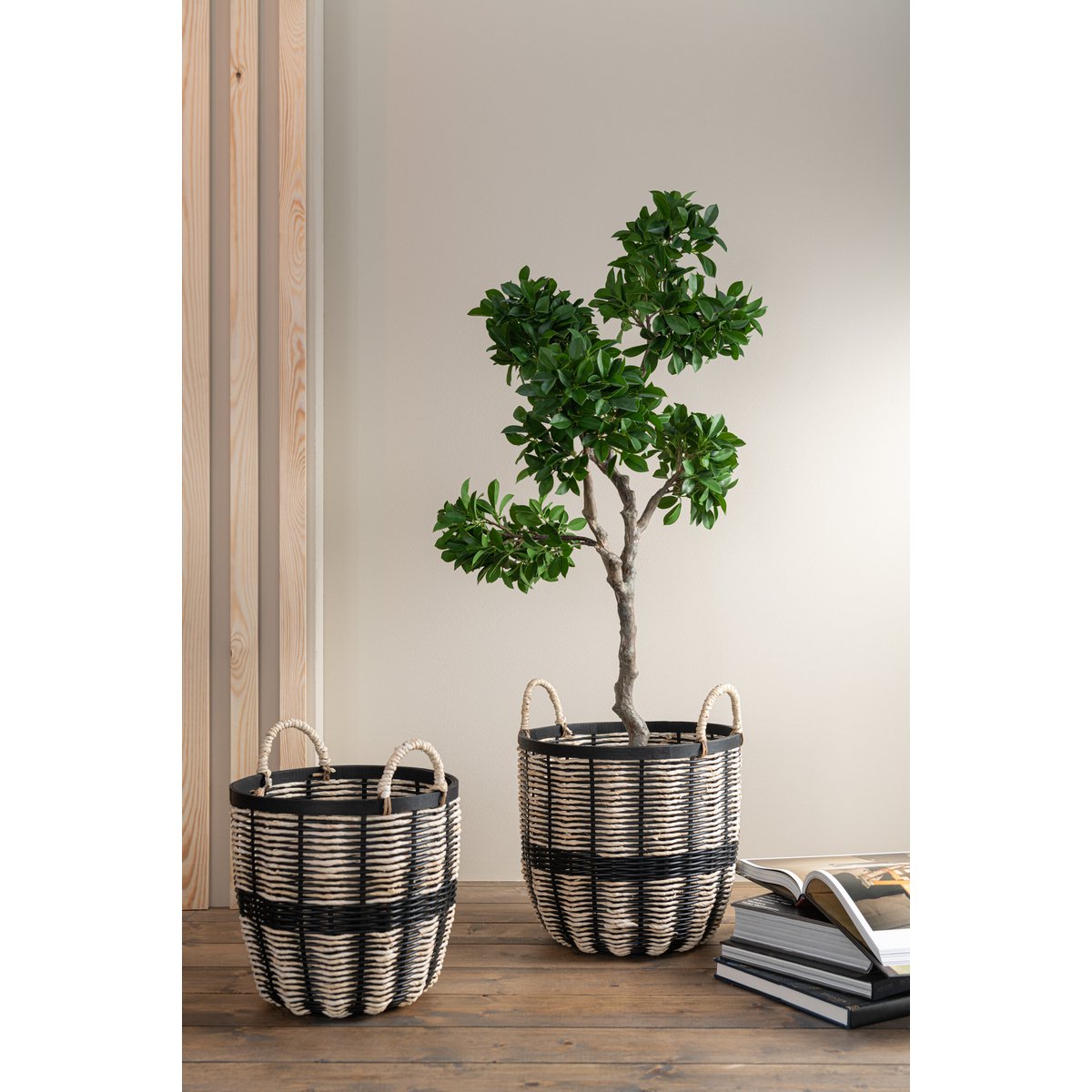 J-Line Chinese Vijg Ficus Boom In Pot Plastiek Groen/Zwart Large