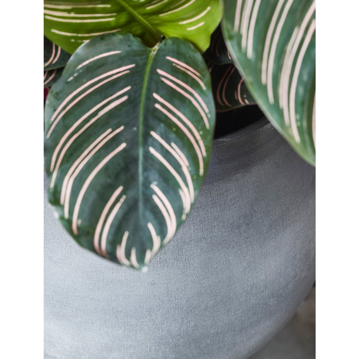Douro Bloempot - H18 x Ø20 cm - Terracotta - Lichtgrijs