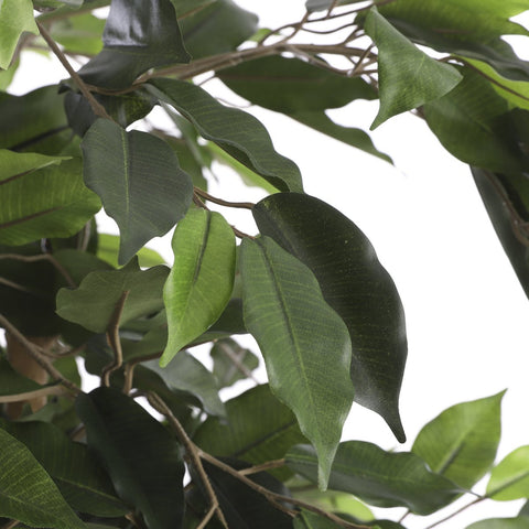 Ficus Kunstplant - H210 x Ø100 cm - groen