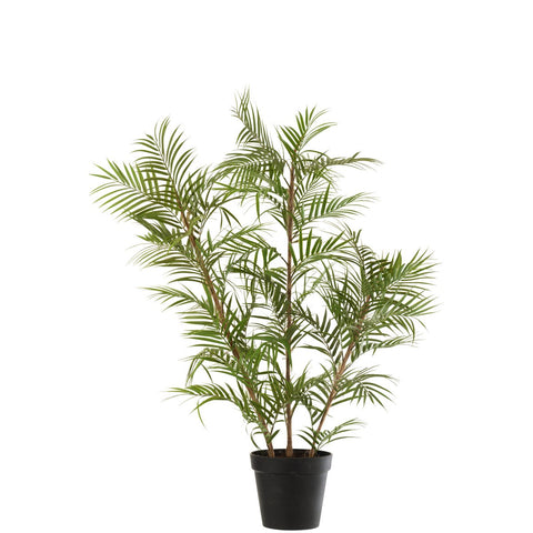 J-Line Bergpalm In Pot Plastiek Groen/Zwart Large