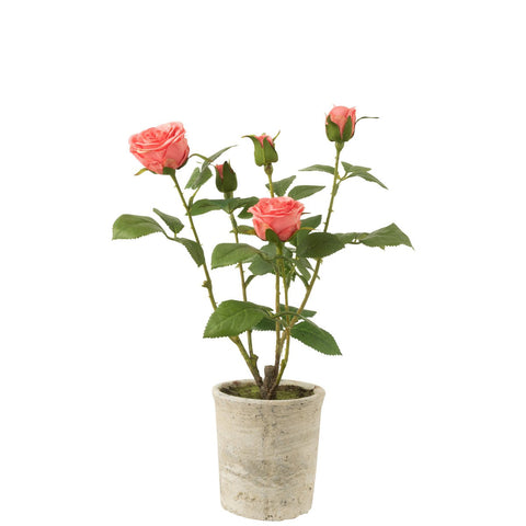 J-Line Roos 5 Koppen In Pot Plastiek/Textiel Roze/Groen