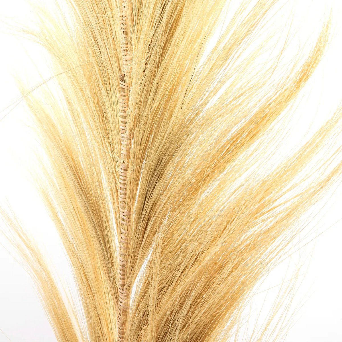 The Stunning Leaf - Naturel - Set van 6