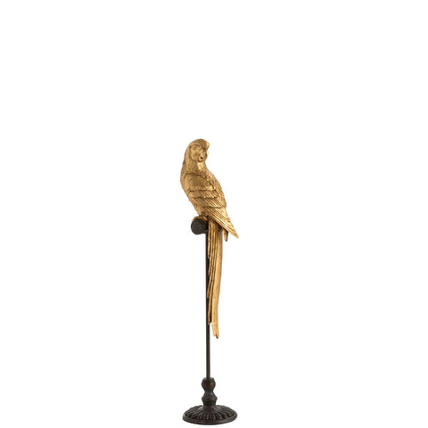 J-Line decoratie Papegaai - polyresin - goud/bruin - klein
