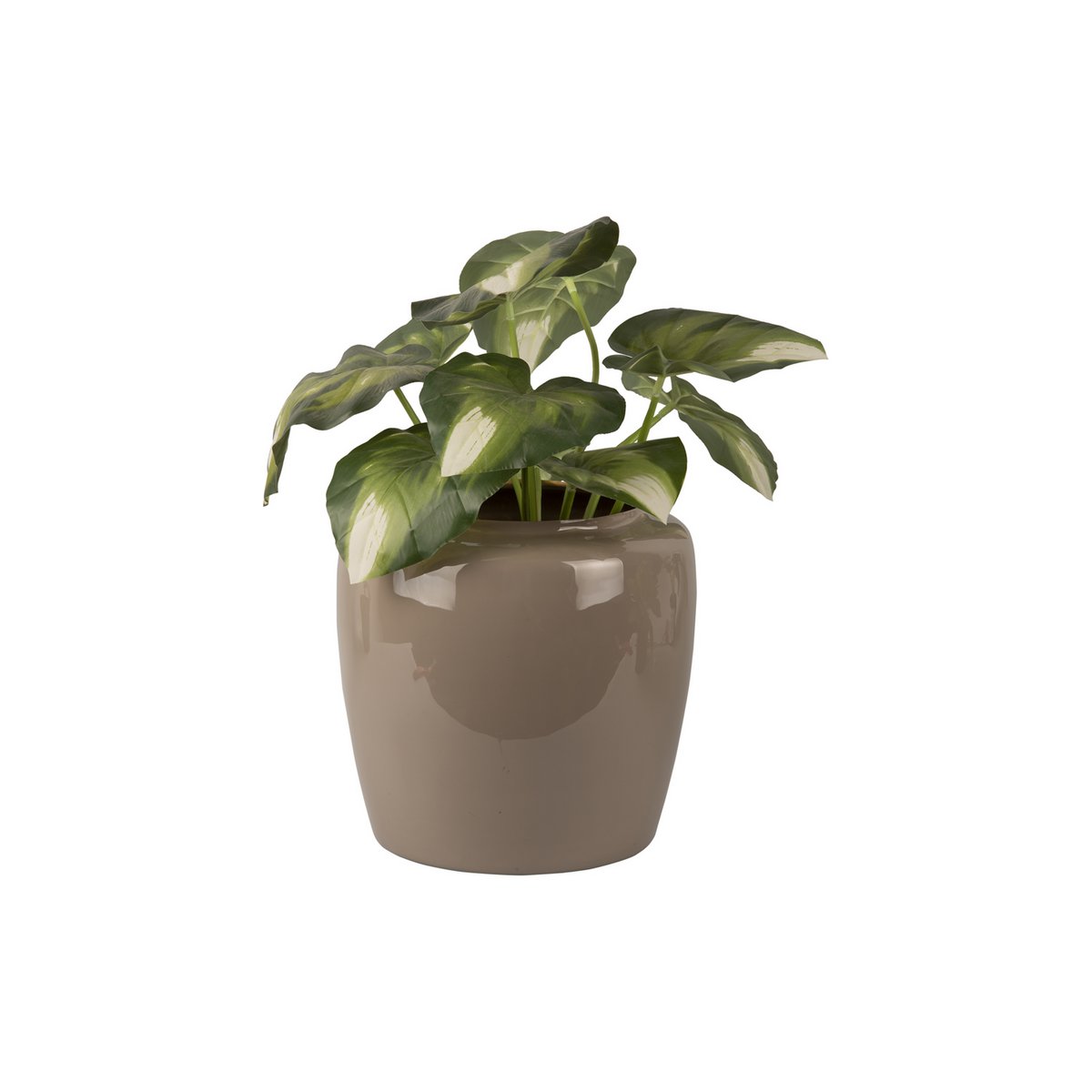 Plantpot Grand Large