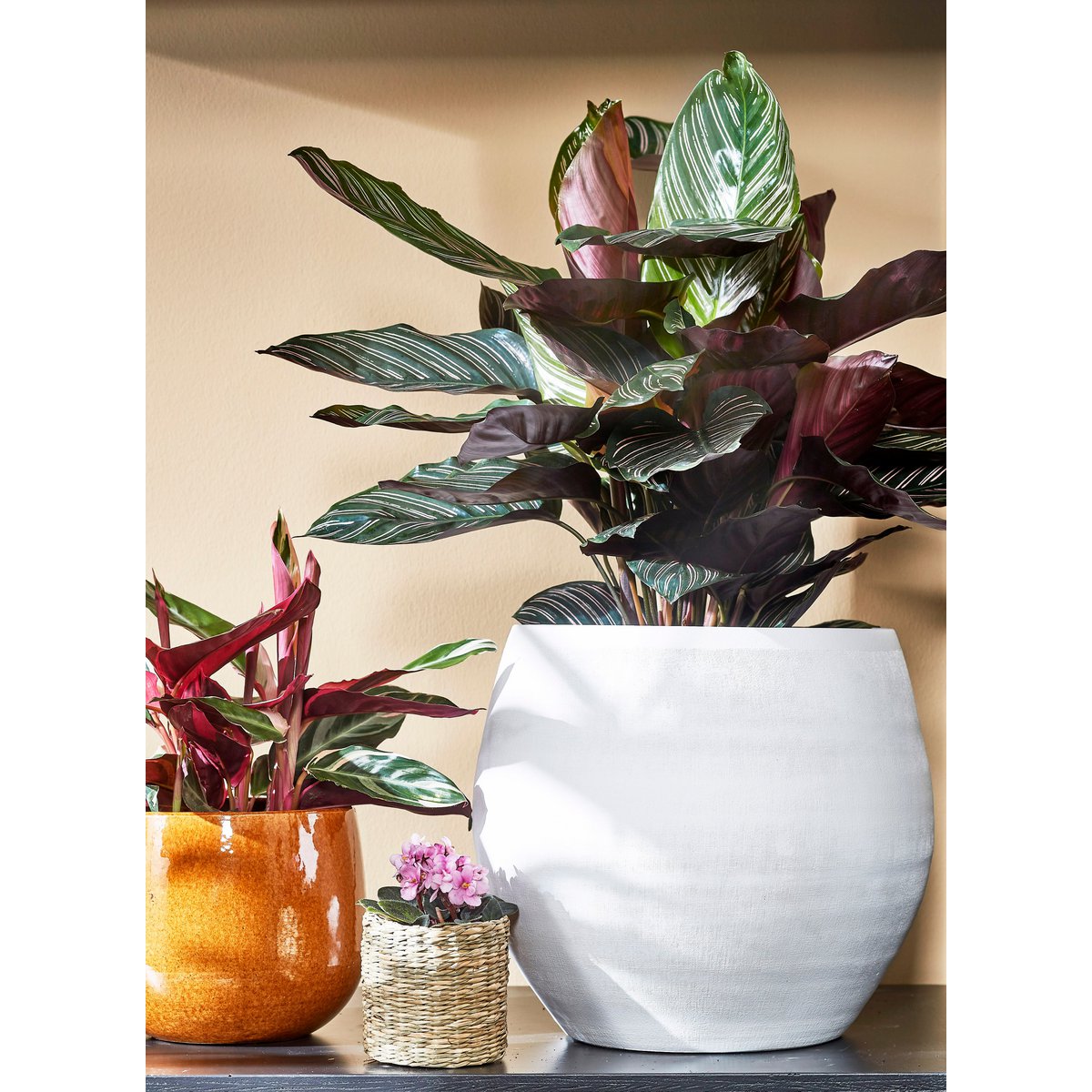 Douro Bloempot - H18 x Ø20 cm - Terracotta - Mat - Wit