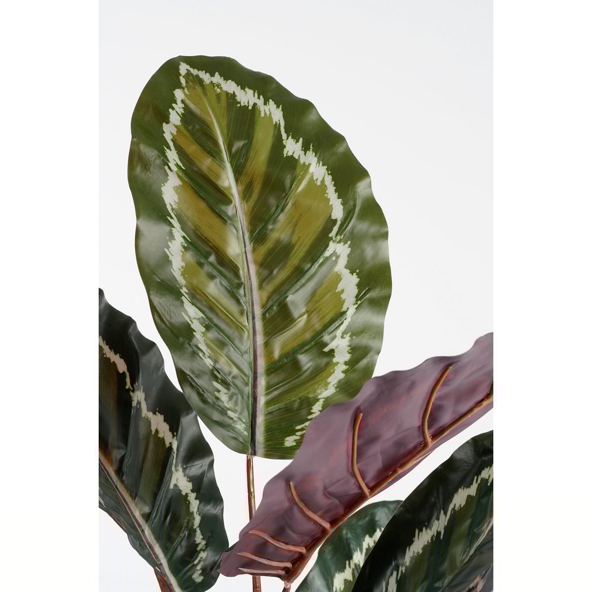 Calathea Roseopicta Kunstplant - H90 x Ø60 cm - Groen