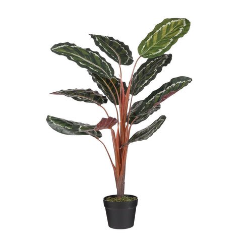 Calathea Roseopicta Kunstplant - H90 x Ø60 cm - Groen
