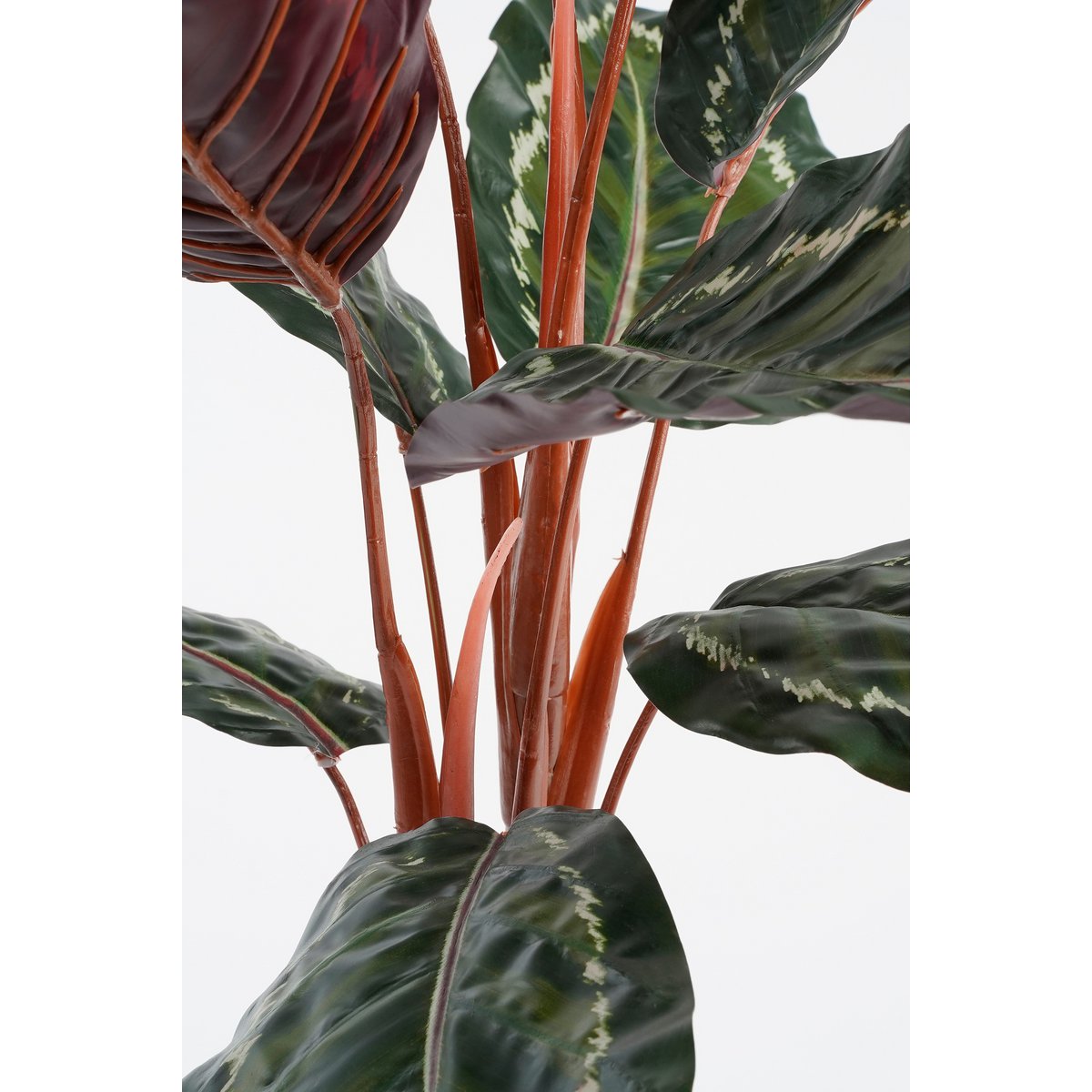 Calathea Roseopicta Kunstplant - H90 x Ø60 cm - Groen
