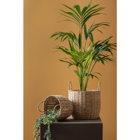 Mandenset Save Large, Set 2 stuks, Maten klein: Diameter 22 cm, hoogte 26 cm