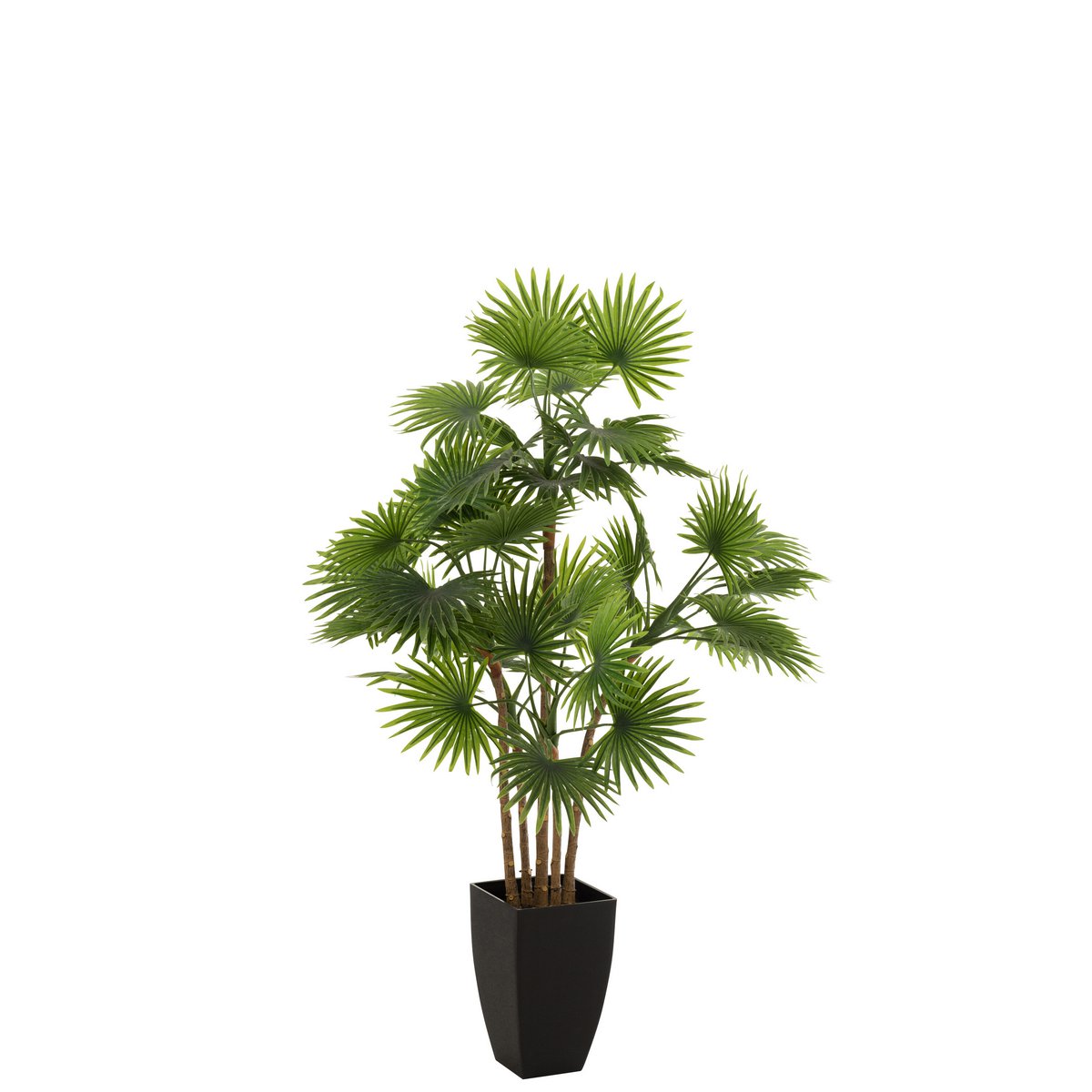 J-Line Palmboom Fan In Pot Plastiek Groen