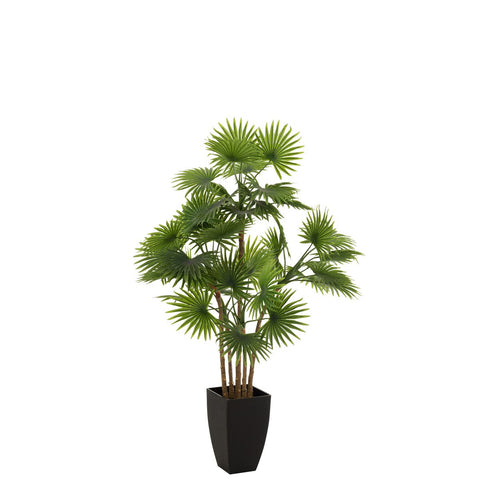 J-Line Palmboom Fan In Pot Plastiek Groen