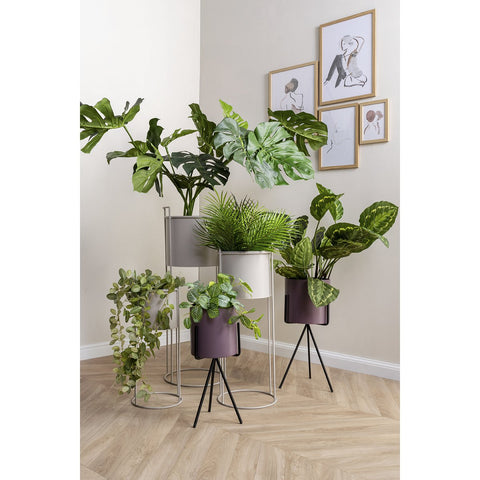 Plantenpotset Essence