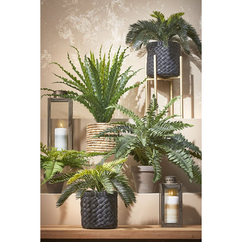 Arzilla Lantaarn - L15 x B15 x H45 cm - Goud
