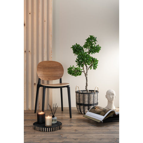 J-Line Chinese Vijg Ficus Boom In Pot Plastiek Groen/Zwart Large