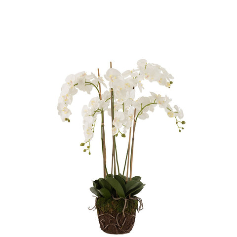 J-Line Orchidee In Aarde Plastiek Wit/Groen Extra Large