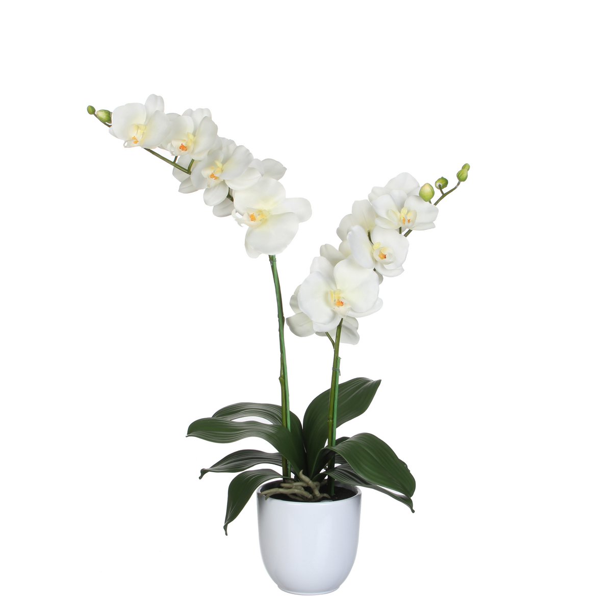 Phalaenopsis Kunstplant in Bloempot Tusca - H66 x Ø38 cm - Crème