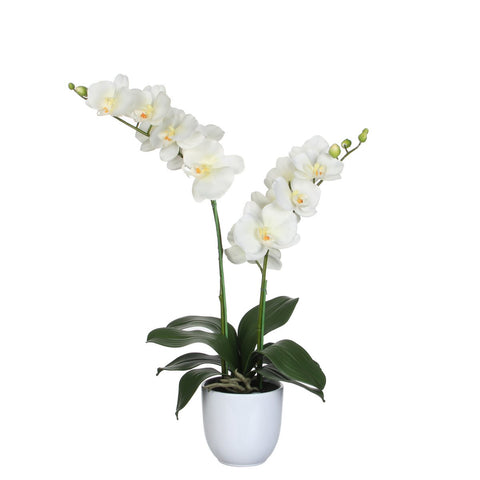 Phalaenopsis Kunstplant in Bloempot Tusca - H66 x Ø38 cm - Crème