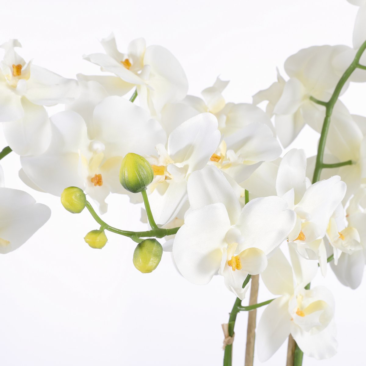 Phalaenopsis Kunstplant in Bloempot Tusca - H66 x Ø38 cm - Crème