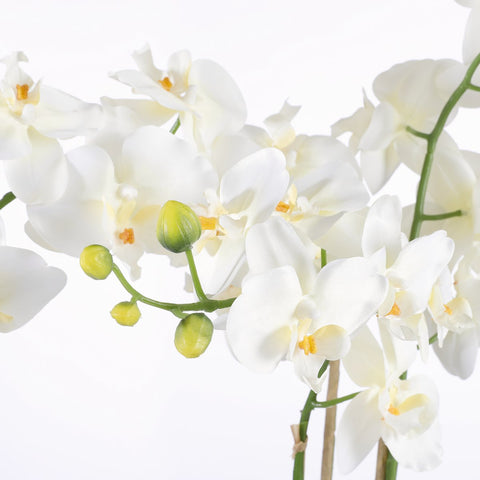 Phalaenopsis Kunstplant in Bloempot Tusca - H66 x Ø38 cm - Crème