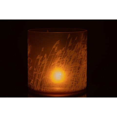 J-Line lantaarn gras - glas - beige - extra groot