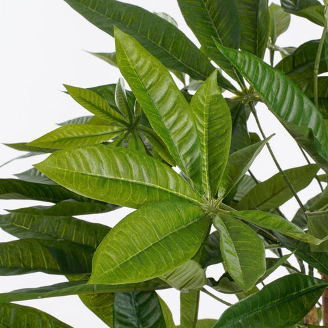 Pachira Kunstplant - H60 x Ø60 cm - Groen