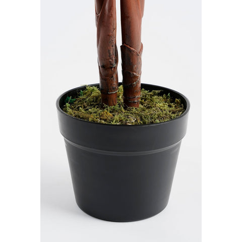 Calathea Roseopicta Kunstplant - H90 x Ø60 cm - Groen