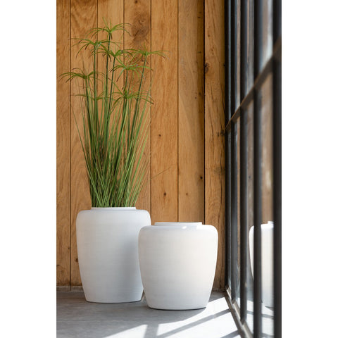 J-Line Cyperus Alternifolius 11 Koppen In Pot Pvc Groen Large