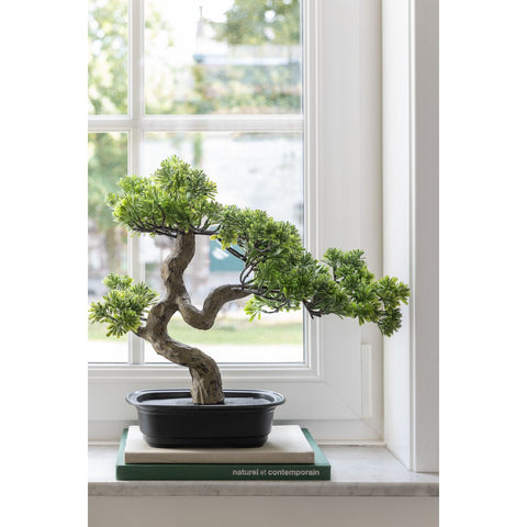 J-Line plant Podocarpus Bonsai - kunststof - groen - small