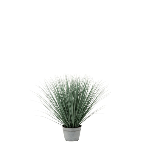 J-Line Grassen In Pot Metaal Plastiek Blauw/Groen Large