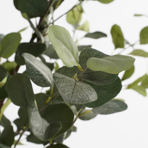 Eucalyptus Kunstplant in Bloempot - H120 x Ø55 cm - Groen