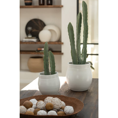 J-Line Cactus 3 Stuks In Pot Kunststof Groen Large