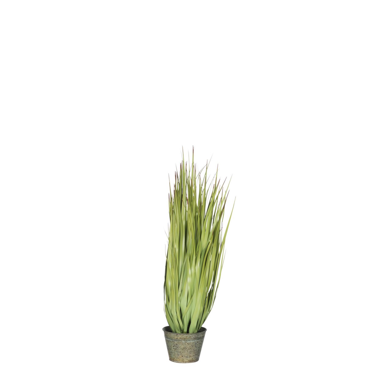J-Line Grassen Wild In Pot Metaal Groen Plastiek Groen Small