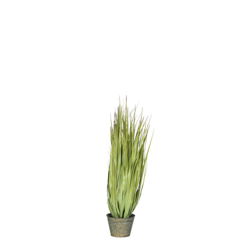 J-Line Grassen Wild In Pot Metaal Groen Plastiek Groen Small