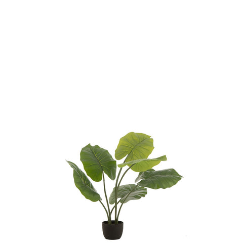 J-Line Taro Wild In Pot Plastiek Groen Small