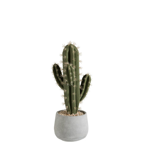 J-Line Succulent+Pot Cement Groen